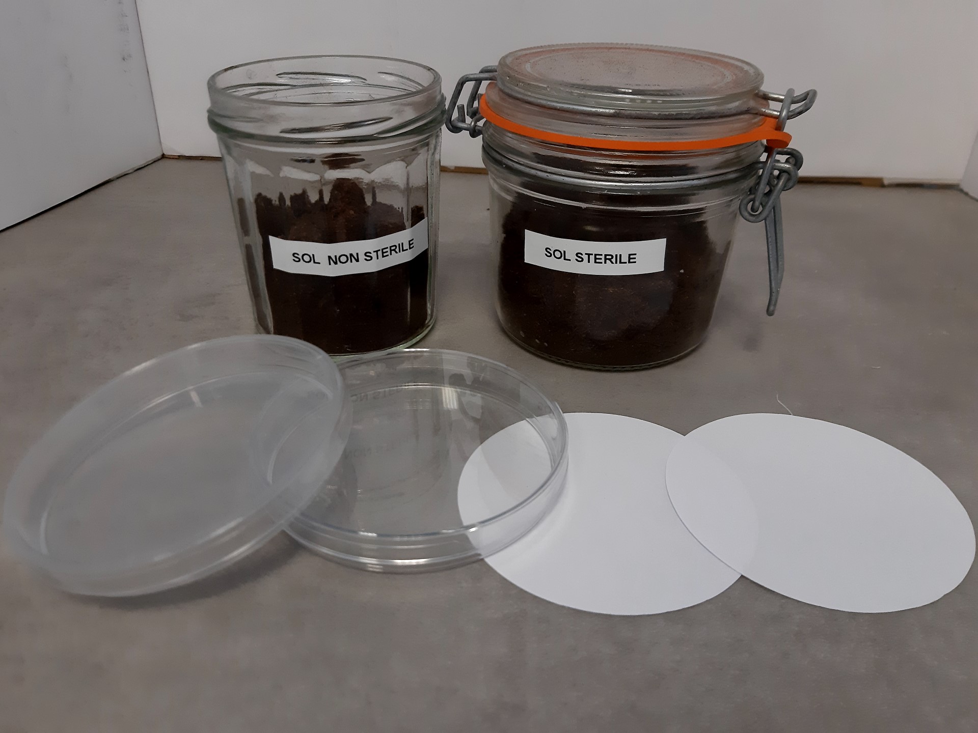 Sol stérile VS sol non stérile (2025) – SVT Labs